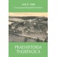 Praehistoria Thuringica Heft 17